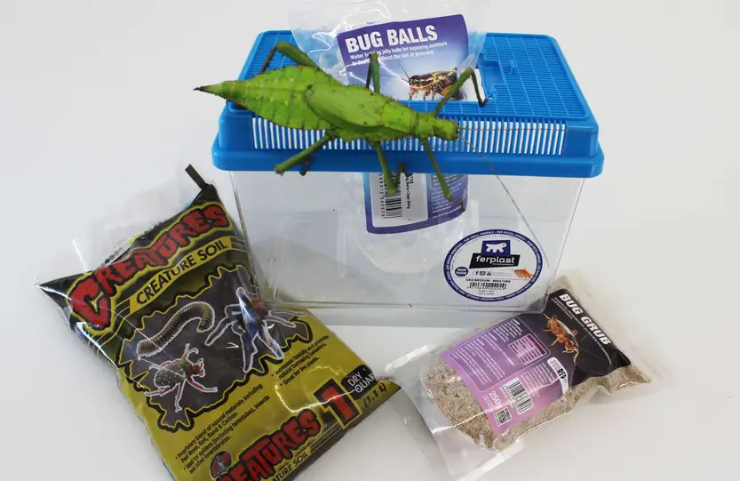 Everything you need to house, maintain and care for reptiles and invertebrates