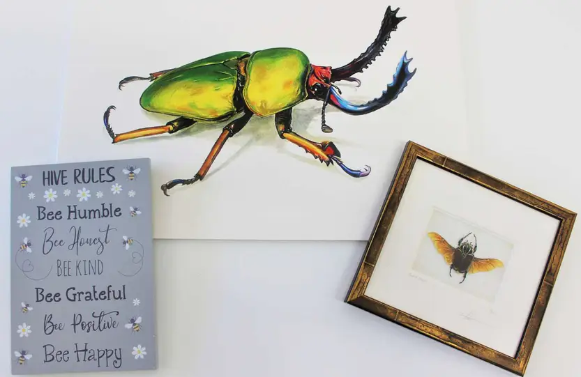 Prints, pictures and display cases of invertebrates